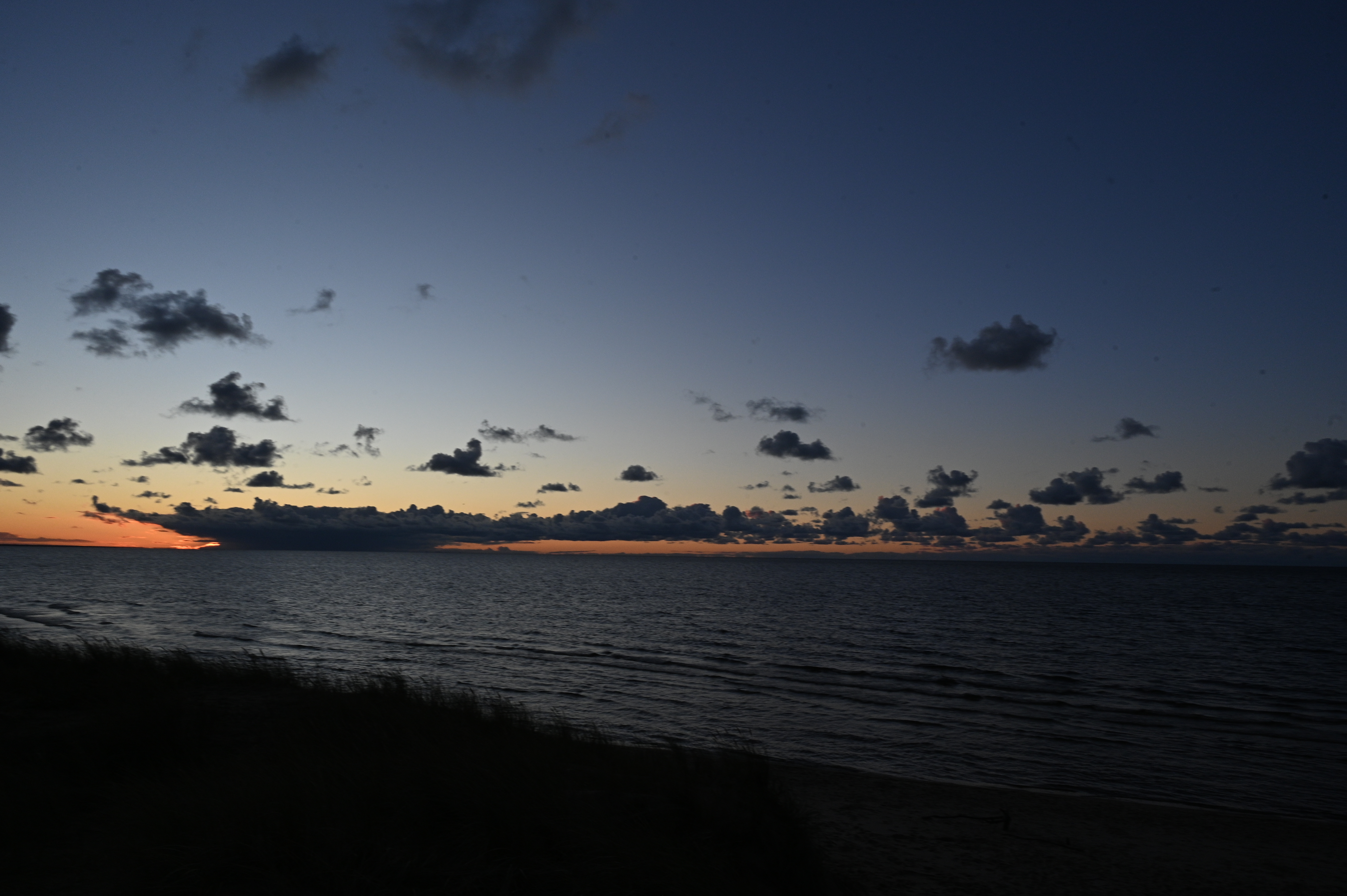 2025/10/18 - walk/DSC_0516.JPG